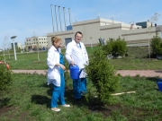 02 врачи центра садят деревья